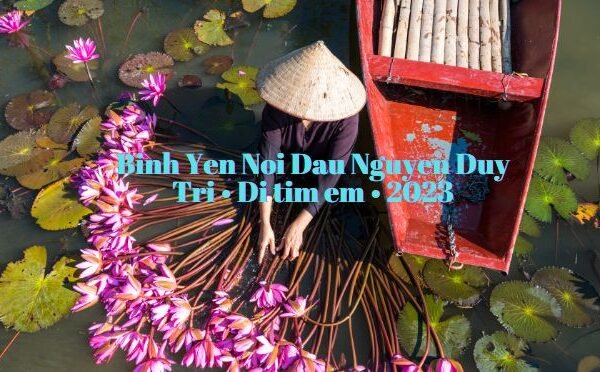 Binh Yen Noi Dau Nguyen Duy Tri • Di tim em • 2023
